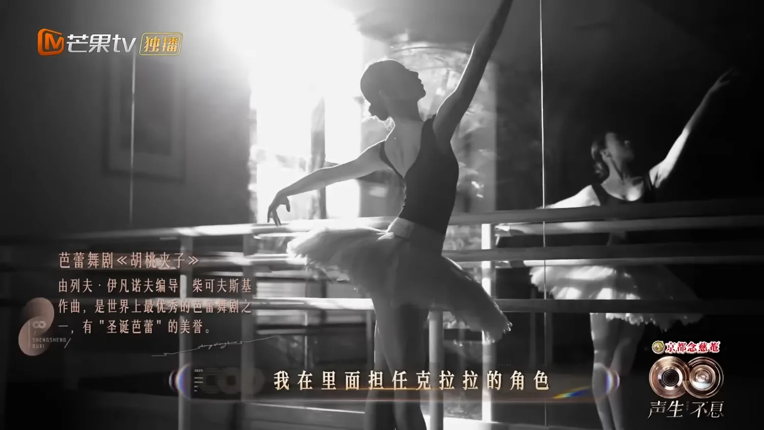 声生不息 · 华流季 — 项目画面