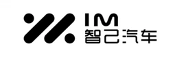 IM Motors